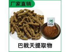 森冉生物 巴戟天提取物 鸡肠风提取物 比例提取原料粉