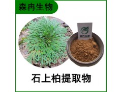 森冉生物 石上柏提取物 梭罗草提取物 比例提取原料粉