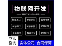 物联网平台开发软硬件定制开发 自主研发项目定制开发