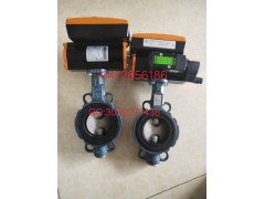 原装正品德国依博罗角行程电动执行器 E50-E210速发货图4